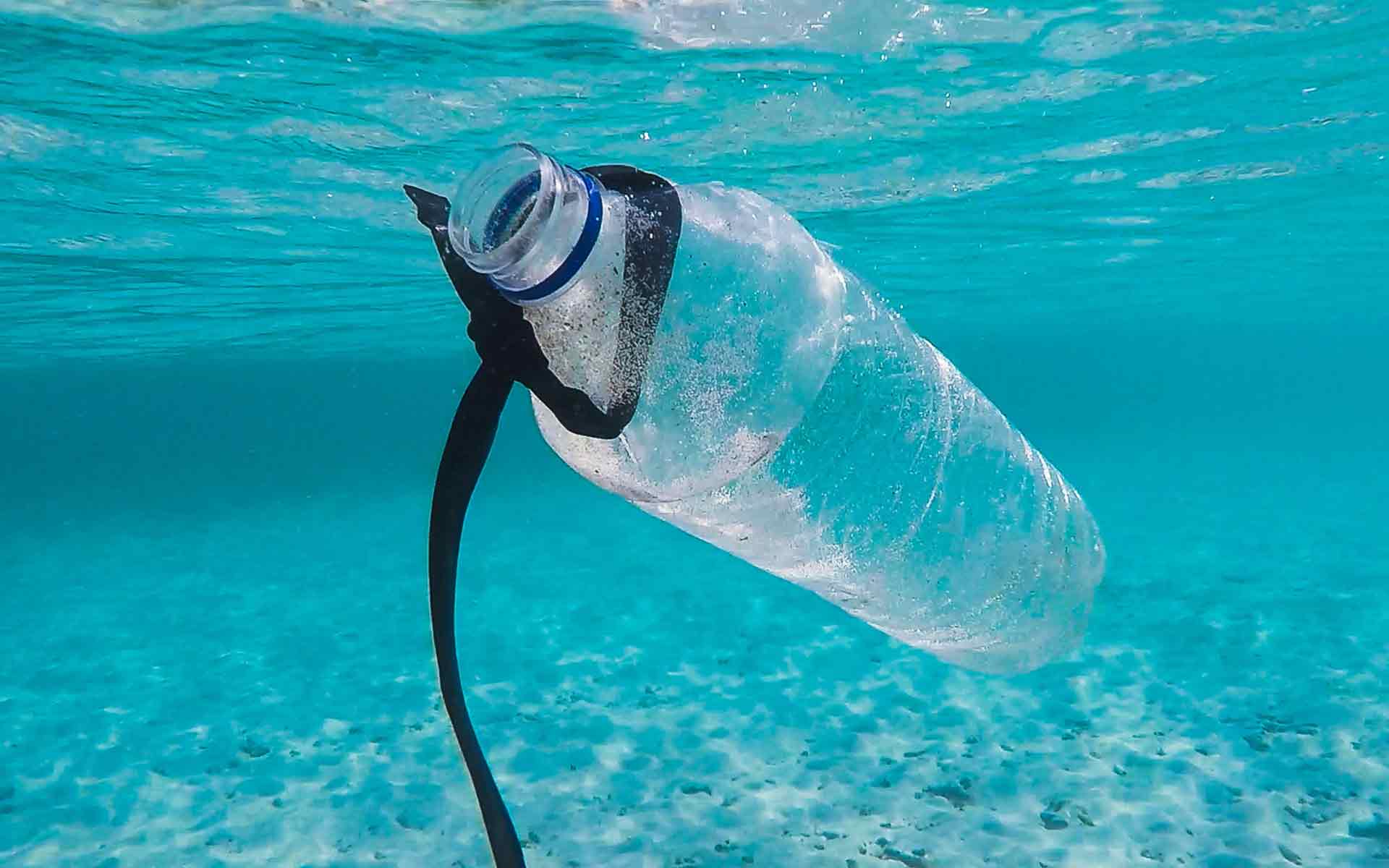 Plastic bottle found in the ocean. Photo by Brian Yurasits on Unsplash.